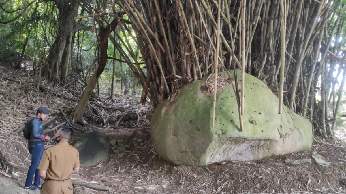 UNIK. Pemerintah Desa Sindangkerta Kecamatan Maja bakal menata lokasi pohon bambu di atas batu sebagai salah satu destinasi wisata religi.