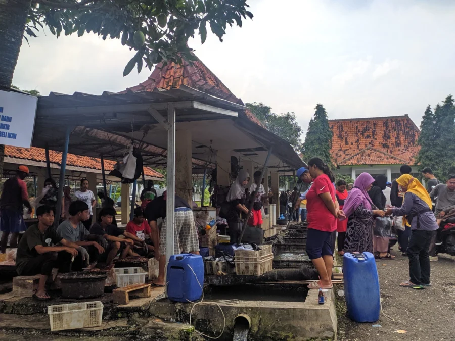 RAMAI. Suasana di Pasar Ikan Regional Jawa Barat Desa Lengkong Kulon Kecamatan Sindangwangi Kabupaten Majalengka. Momen malam pergantian tahun membuat para pedagang ikan kebanjiran pesanan.