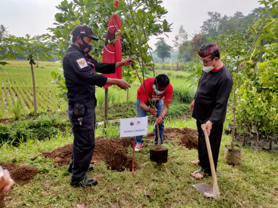 JAGA LINGKUNGAN. Bupati sekaligus Ketua DPC PDI Perjuangan Kabupaten Cirebon, H Imron menanam pohon di area Pondok Pesantren Maharesi Sidiq Desa Wanasaba Kecamatan Talun.