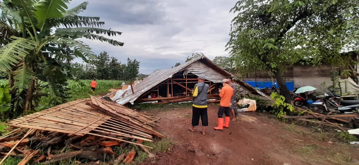ANGIN KENCANG. Petugas BPBD Kabupaten Kuningan melakukan asessment bencana angin kencang di Desa Bantarpanjang, Kecamatan Cibingbin, Kamis (24/2).