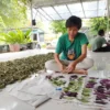 PENGERINGAN. Proses pengeringan tanaman liar di Saung Wangsakerta sebagai bahan dasar obat herbal yang mulai diminati masyarakat perkotaan.