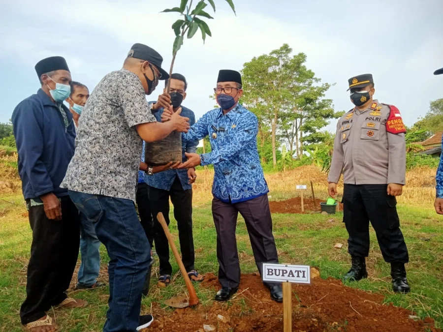 SIMBOLIS. Bupati Cirebon, H Imron menerima pohon Mangga Gedong Gincu untuj ditanam, kemarin.