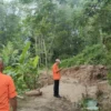 ATASI BENCANA Petugas BPBD Kabupaten Kuningan tengah melakukan assessment kejadian tanah longsor di Desa Cipakem, kemarin.