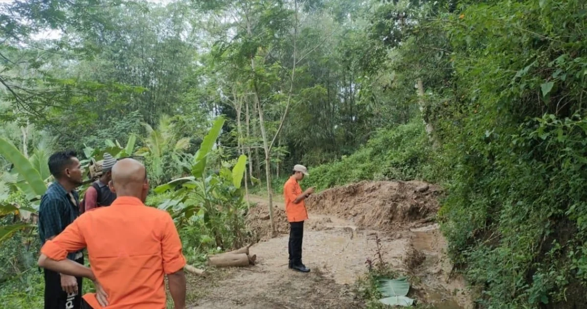 ATASI BENCANA Petugas BPBD Kabupaten Kuningan tengah melakukan assessment kejadian tanah longsor di Desa Cipakem, kemarin.