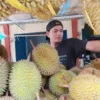 durian sinapeul
