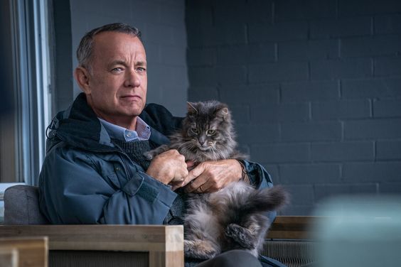 Tom Hanks Menjadi Pemeran Utama pada Film A Man Called Otto. Foto: pinterest