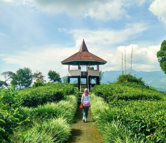 Tempat Healing di Bandung !! Wisata Nimo Highland yang Estetik, Ketinggian 1400 mdpl
