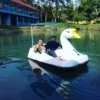 Pengunjung yang Bermain Sepeda Air di Wisata Kolam Renang Cibulan Kuningan. Foto: instagram.com/cibulan_kuningan