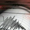 Jangan Panik ! 5 Hal Yang Harus Dilakukan Saat Gempa Bumi Terjadi