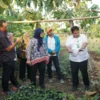 KUNJUNGAN. Kunjungan para pemangku kebijakan perhutanan sosial ke lokasi usaha kelompok penerima akses kelola hutan di wilayah Gunung Kidul dan Kulon Progo. FOTO : IST/RAKCER.ID