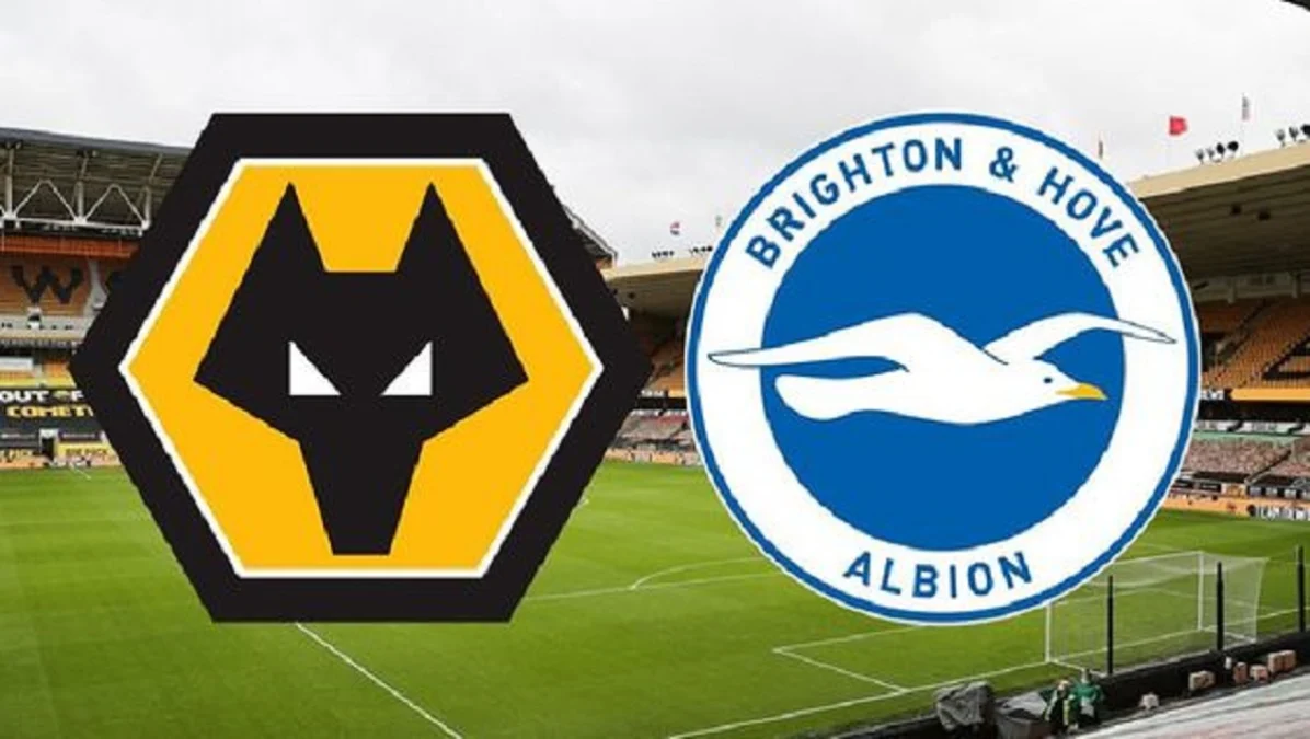 Wolves vs Brighton di Premier League 2023