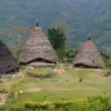 MENAKJUBKAN! Desa Adat Wae Rebo Tertinggi di Indonesia, Dihuni Hanya 7 Rumah, Ini Sejarah Lengkapnya