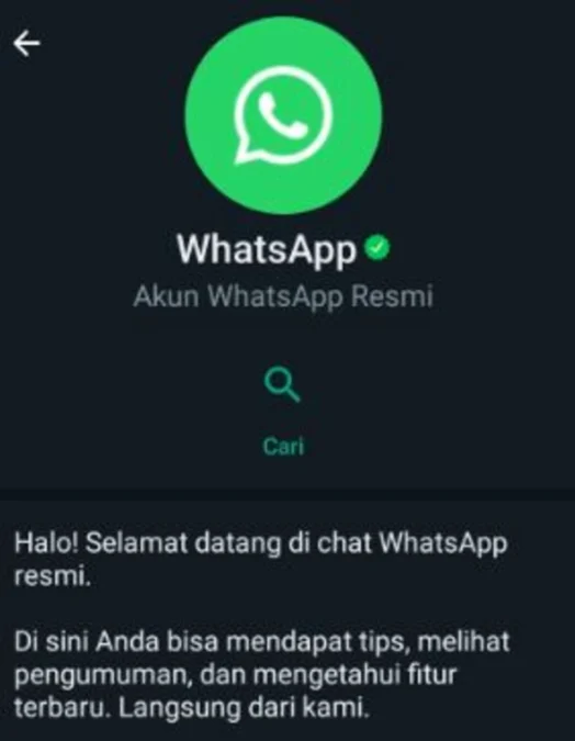 Ciri Ciri Akun Resmi WhatsApp