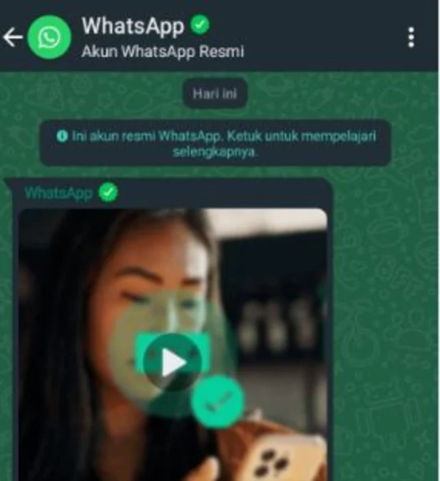 Arti Centang Hijau di Akun Resmi WhatsApp