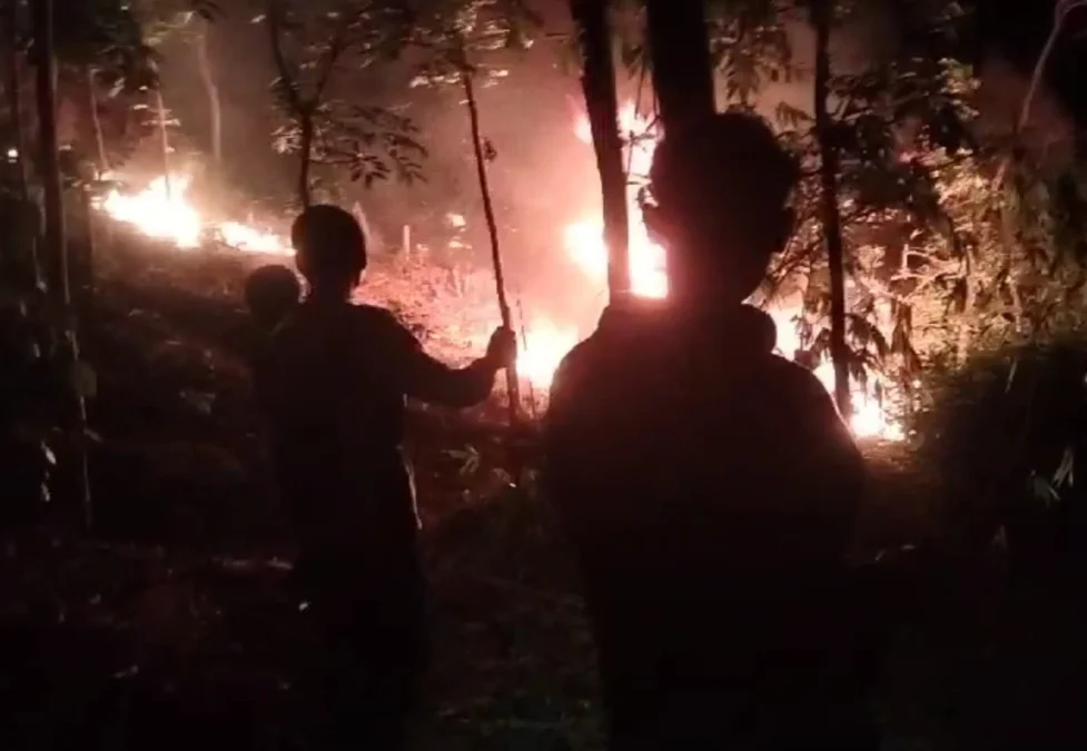 kebakaran hutan