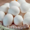 Belum Banyak yang Tahu, Ini 10 Manfaat Telur Ayam Kampung Asli Bagi Kesehatan