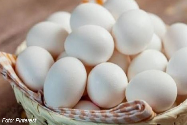 Belum Banyak yang Tahu, Ini 10 Manfaat Telur Ayam Kampung Asli Bagi Kesehatan