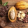 5 Fakta Unik Di Balik Pohon Kakao Yang Ternyata Bisa Dijadikan Cokelat