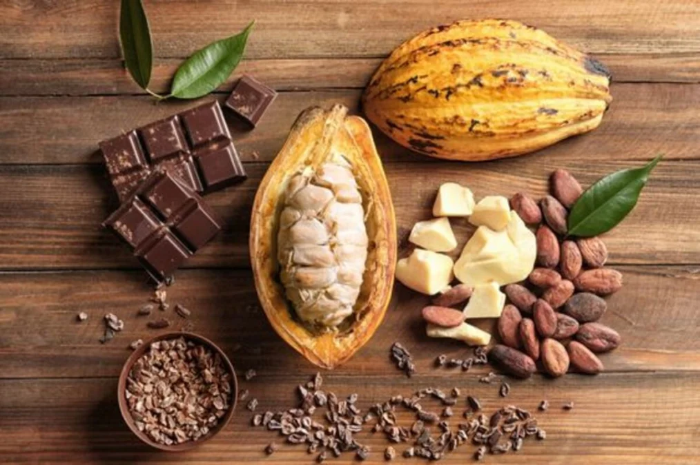 5 Fakta Unik Di Balik Pohon Kakao Yang Ternyata Bisa Dijadikan Cokelat