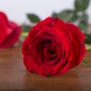 manfaat bunga mawar dalam perawatan kulit
