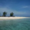 Pulau payung