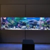 inspirasi desain aquarium mewah