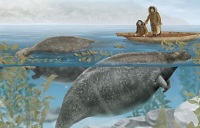 5 Fakta Tentang Sapi Laut, Hewan yang Punah Karena Perburuan yang Terus Menerus