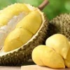 5 Tempat Makan Durian di Tangerang, Pasti Anda Akan Puas