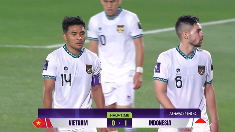 Hasil Vietnam vs Indonesia