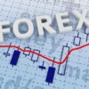Memahami Dasar-dasar Trading Forex: Panduan untuk Pemula