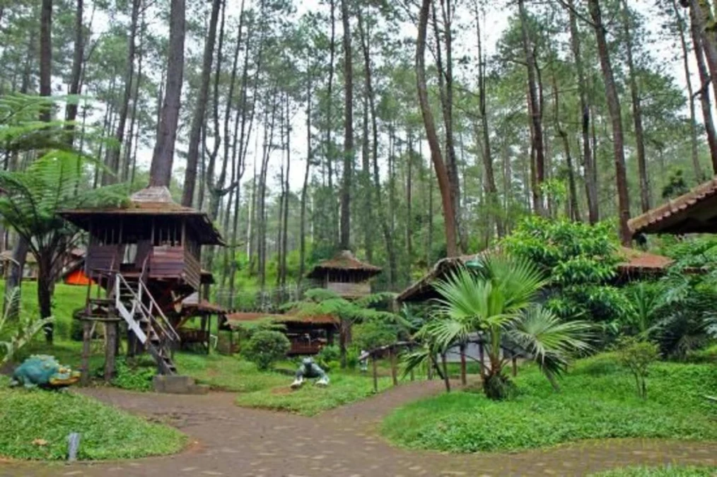 Destinasi Wisata Taman Grafika Cikole Lembang: Lokasi, Harga Tiket Masuk, dan Aktivitas Seru