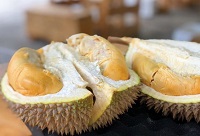 5 Fakta Tentang Durian, Si Raja Buah yang Sangat Digemari Oleh Semua Orang