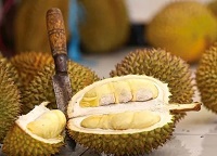 5 Jenis Durian Lokal yang Unggul dan Banyak Digemari Oleh Banyak Orang