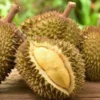 5 Durian Dengan Harga Termahal di Dunia Dengan Harga Fantastis, Apakah Ada yang Ingin Mencobanya ?