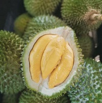 5 Tempat Makan Durian yang ada Di Yogyakarta, Untuk Kamu yang Pecinta Durian Bahkan Apabila Rasa Tidak Cocok Bisa Ditukar
