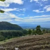 Rekomendasi Destinasi Wisata Alam di Banjarnegara yang Instagramable dan Menakjubkan