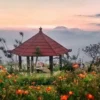 Destinasi Tempat Wisata IAMpelgading Homeland di Kabupaten Semarang: Lokasi, Harga Tiket, dan Aktivitas yang Bisa Dilakukan