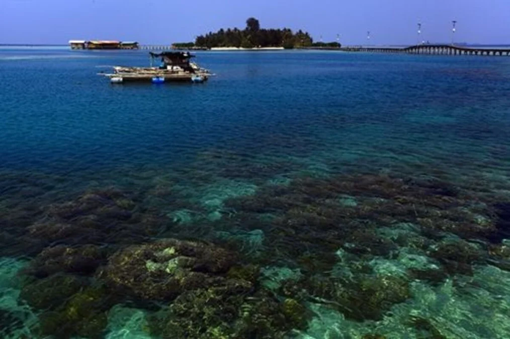 Rekomendasi Destinasi Wisata Pantai di Kalimantan Barat yang Indah dan Harganya Terjangkau