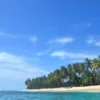 Pulau Pisang, Destinasi Wisata Bahari Tersembunyi yang Menawan di Pesisir Barat