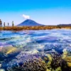 Aktivitas Wisata Favorit di Taman Nasional Bunaken, Surga Bawah Laut Indonesia