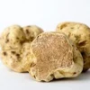 25 Fakta Menarik Mengenai White Truffle, Bahan Penting Dalam Makanan Italia