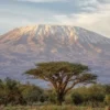 8 Wisata yang ada di Negara Tanzania, yang Sangat Asri dan Menyatu dengan Alam Liar 