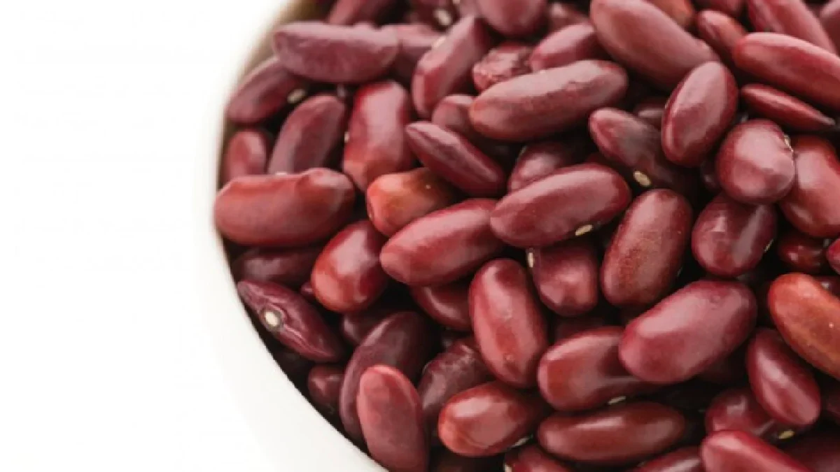 5 Jenis Kacang-Kacangan yang Kaya Protein dan Serat