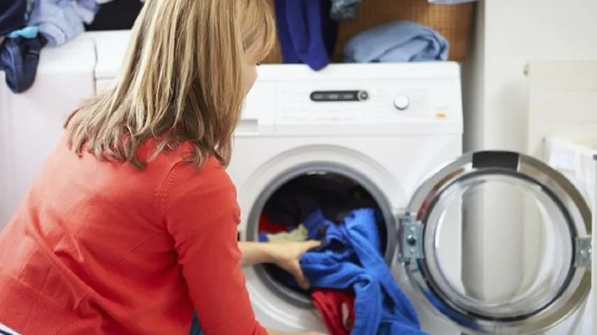 Mengintip Jenis Layanan Laundry, Ada Kiloan, Satuan,dan Spesialis Serta Kekurangan dan Kelebihanya!
