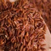 5 Cara Menyimpan Nasi Merah agar Tetap Segar dan Awet