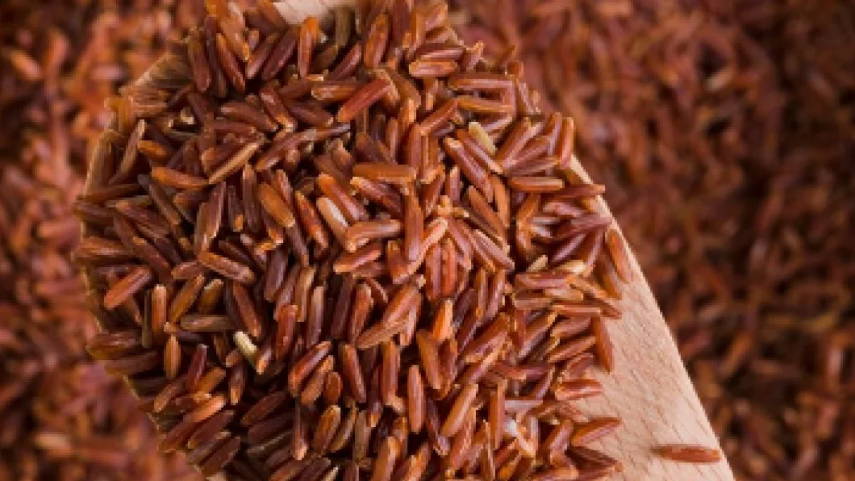 5 Cara Menyimpan Nasi Merah agar Tetap Segar dan Awet
