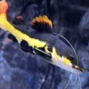 8 Fakta Menarik Tentang Ikan Red Tail Catfish, Ikan Lele yang Sangat Eksotis dan Biasa Menjadi Peliharaan