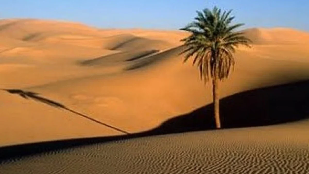 8 Wisata Alam yang ada di Negara Maroko, ada Gurun Sahara Juga Loh 