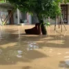 Banjir di Cirebon Timur