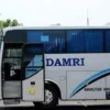5 Kelas Bus yang ada di Po Damri, Bisa Kamu Coba Ketika Melakukan Perjalanan Mudik Nanti 